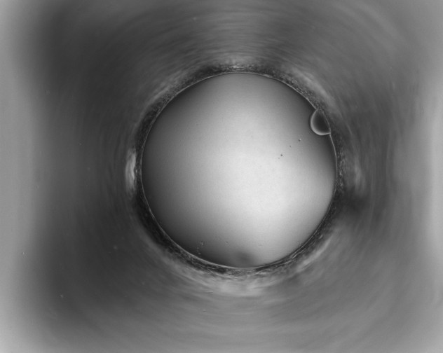 X0000093720024200710161106