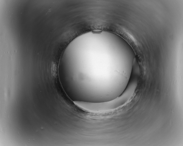 X0000093720025200710161106