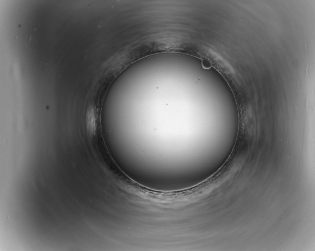 X0000093720026200710161106