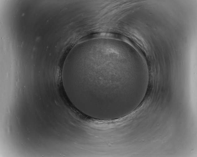 X0000093720029200710161106