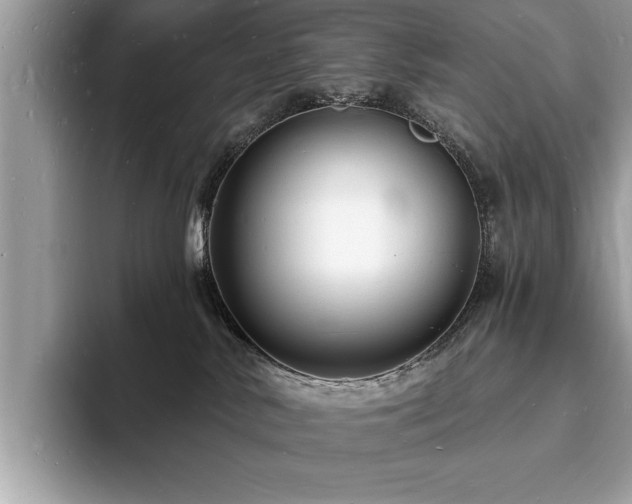 X0000093720042200710161106