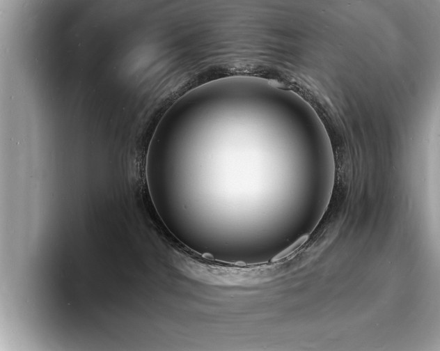 X0000093720044200710161106