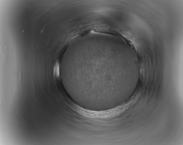 X0000093720046200710161106