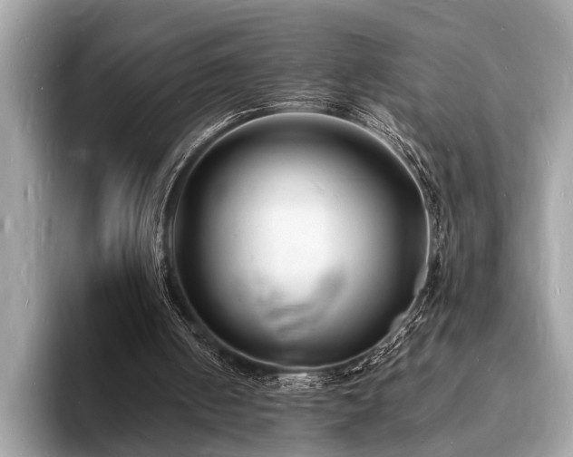 X0000093720050200710161106