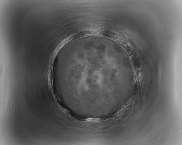 X0000093720051200710161106