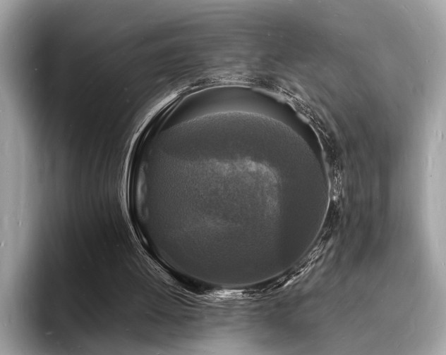 X0000093720052200710161106