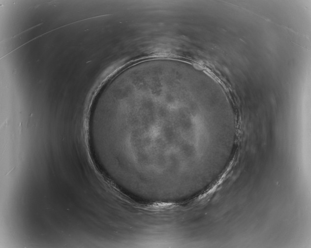 X0000093720055200710161106