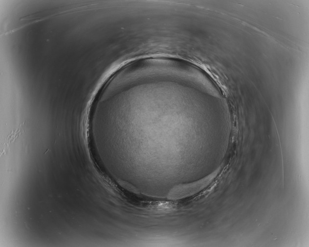 X0000093720056200710161106