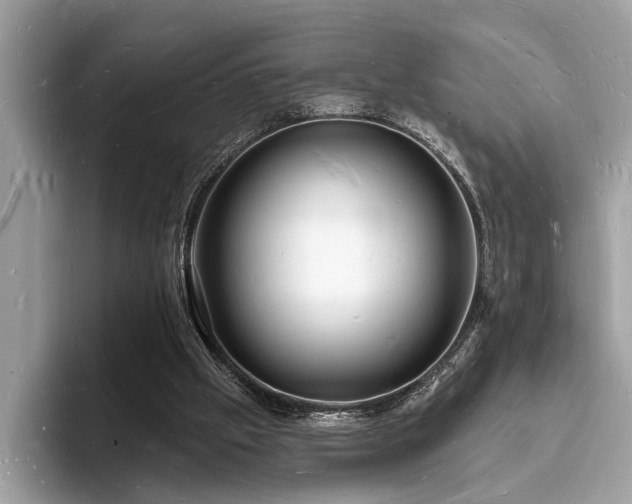 X0000093720057200710161106