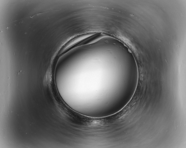 X0000093720060200710161106