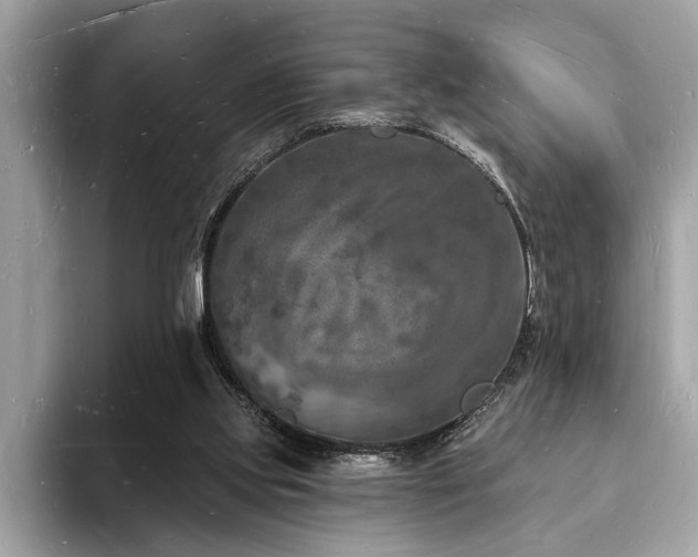 X0000093720061200710161106