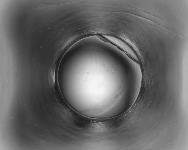 X0000093720062200710161106