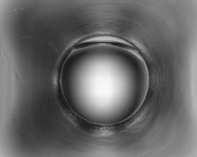 X0000093720064200710161106