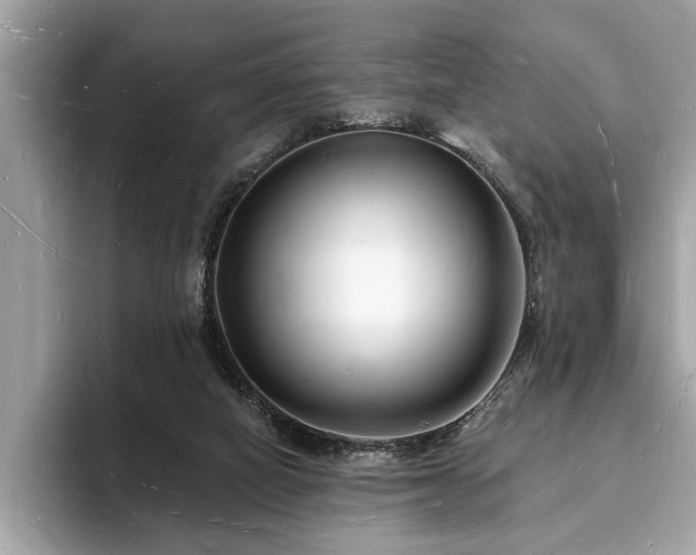 X0000093720066200710161106