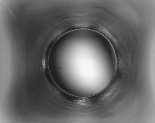 X0000093720068200710161106