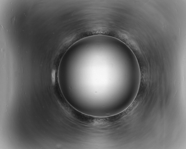 X0000093720070200710161106