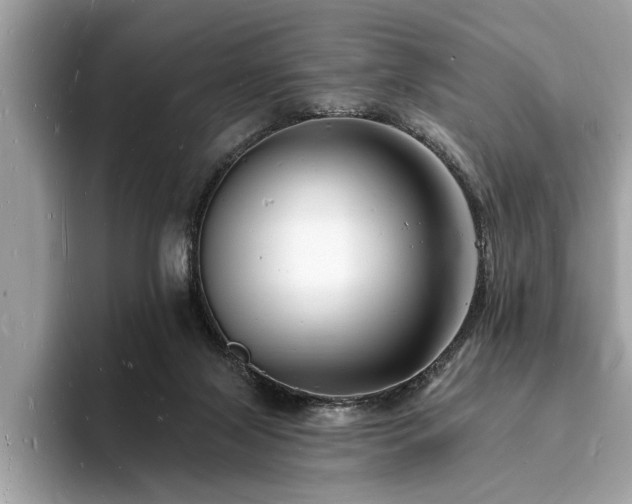 X0000093720071200710161106