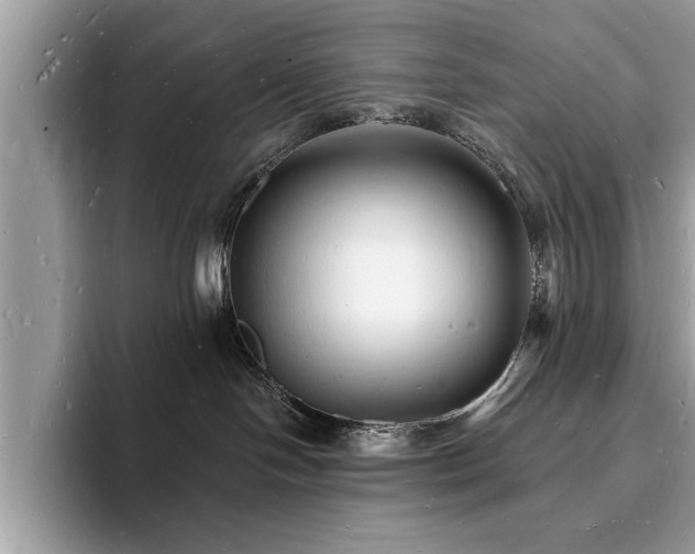 X0000093720094200710161106