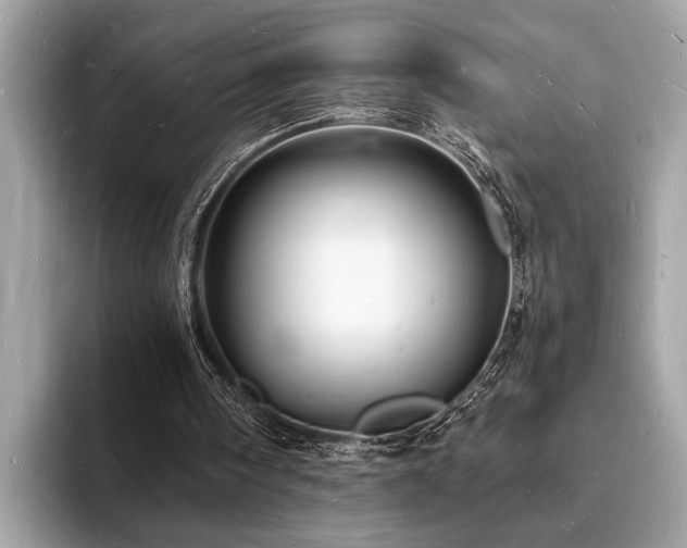 X0000093720098200710161106