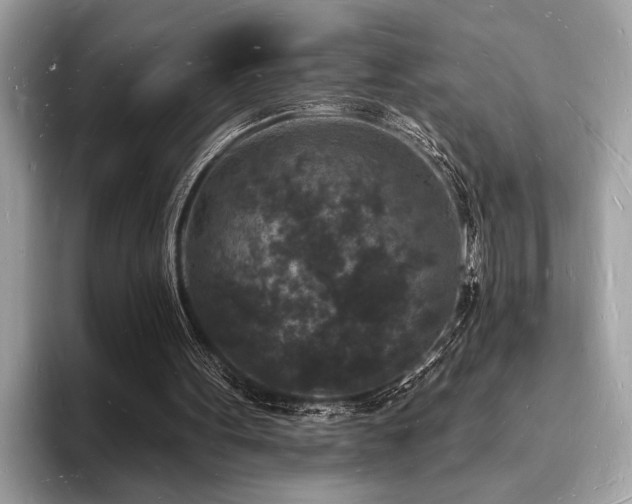 X0000093720099200710161106