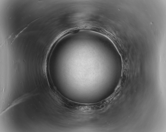 X0000093720100200710161106