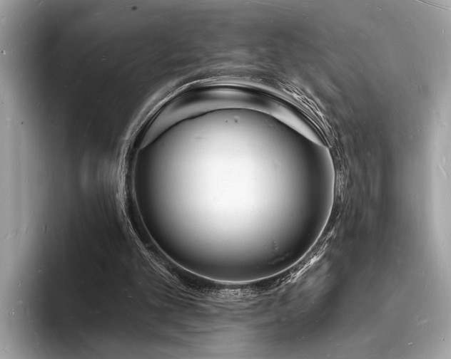 X0000093720101200710161106