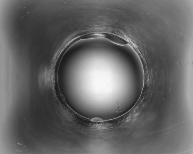 X0000093720103200710161106