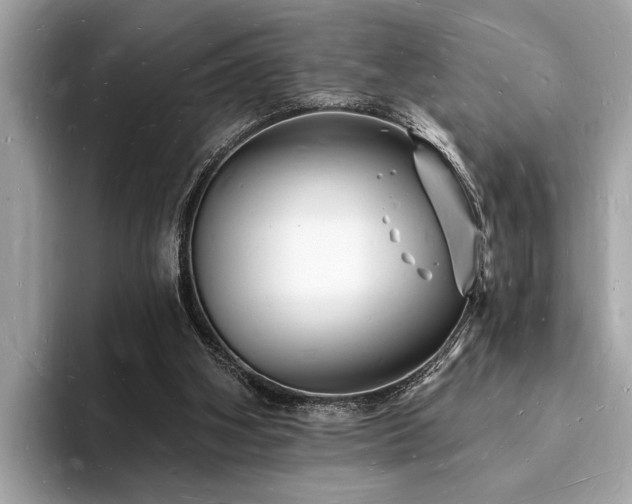 X0000093720106200710161105