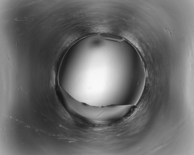X0000093720109200710161105