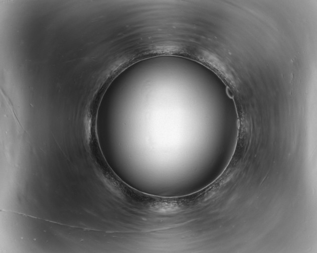 X0000093720110200710161105