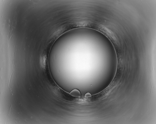 X0000093720118200710161105