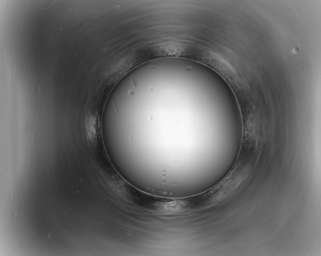 X0000093720122200710161105