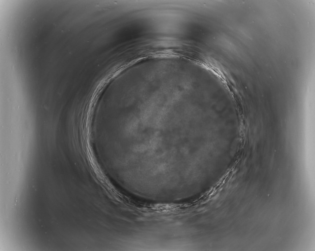 X0000093720145200710161104