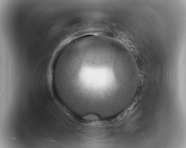 X0000093720149200710161105