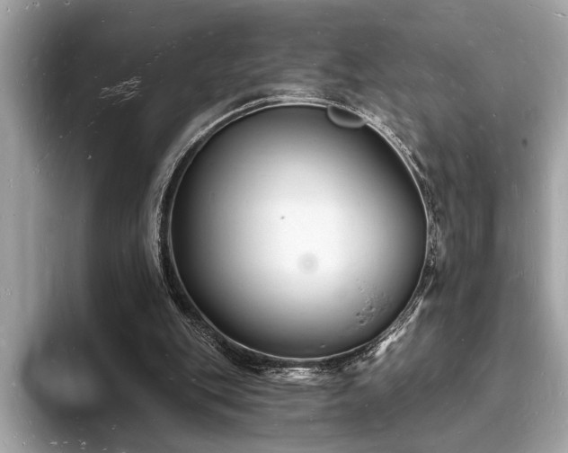 X0000093720151200710161105
