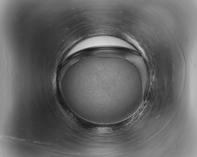 X0000093720154200710161105