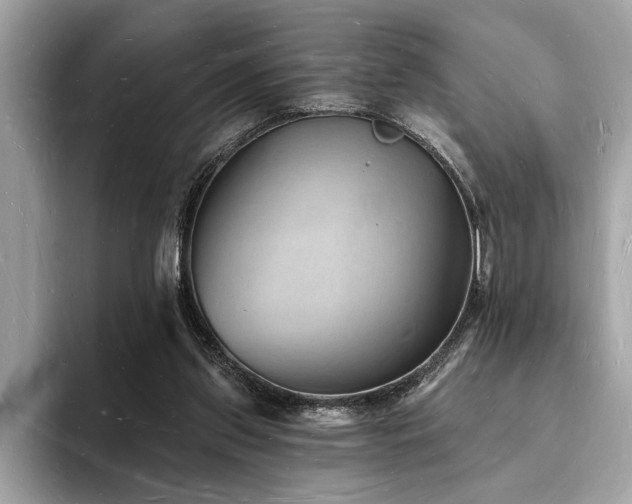 X0000093720157200710161105