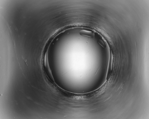 X0000093720160200710161105