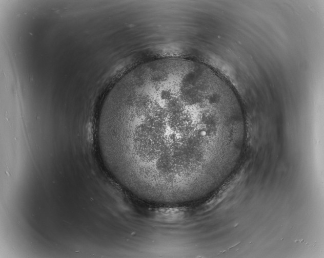 X0000093720161200710161105