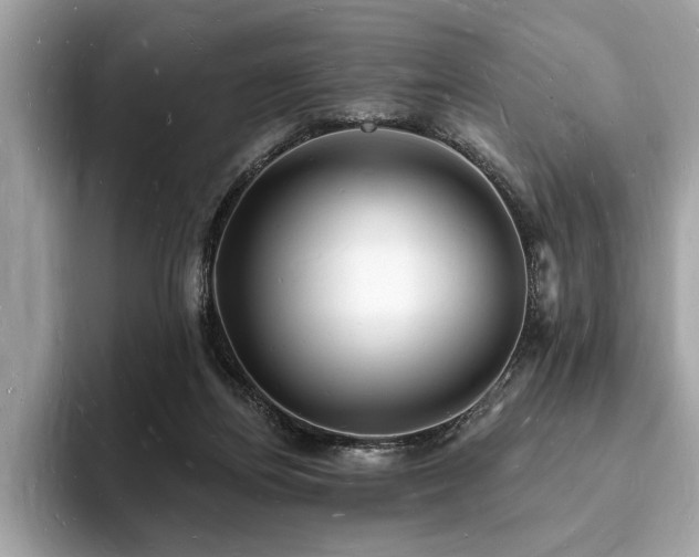 X0000093720164200710161105