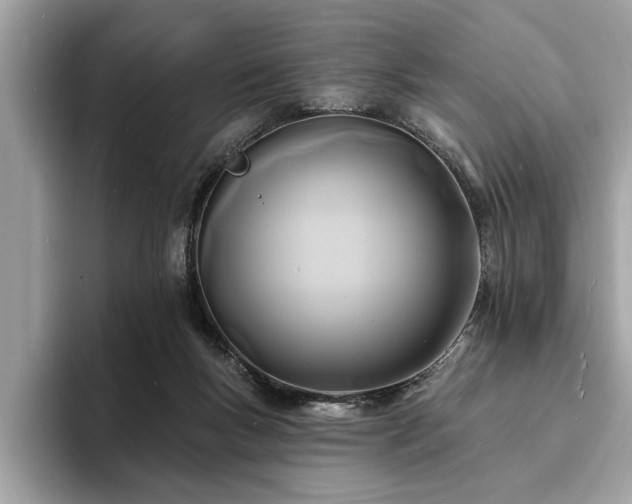 X0000093720167200710161105