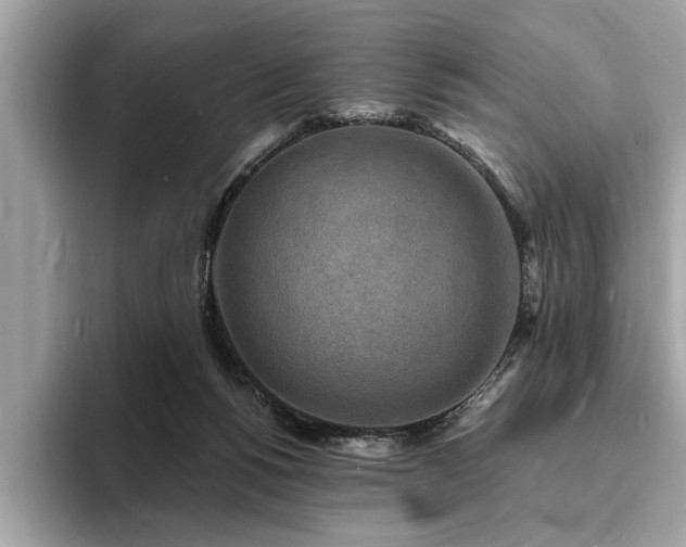 X0000093720168200710161105