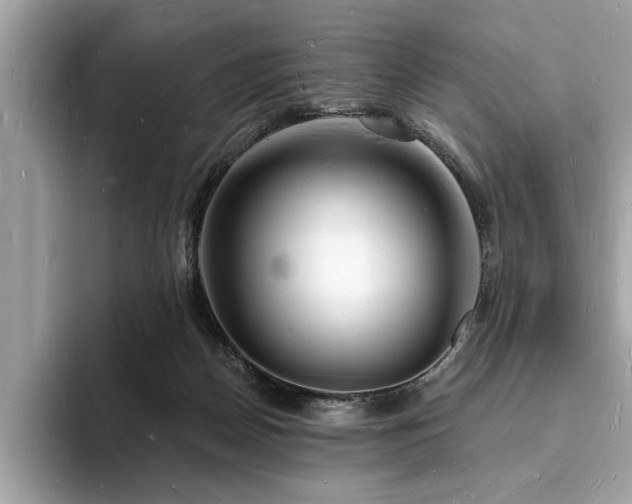 X0000093720170200710161105