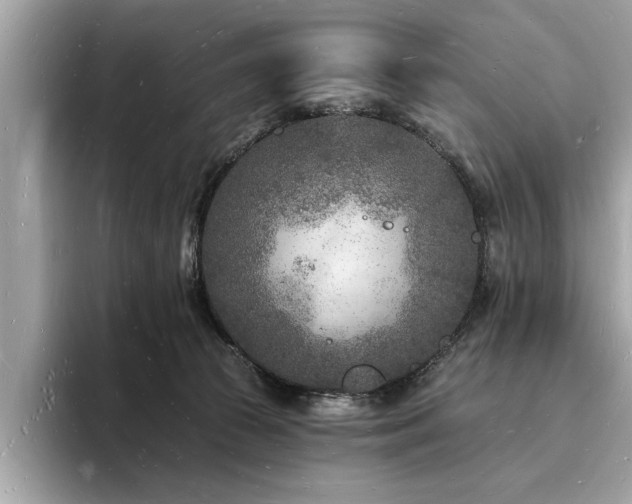 X0000093720177200710161105