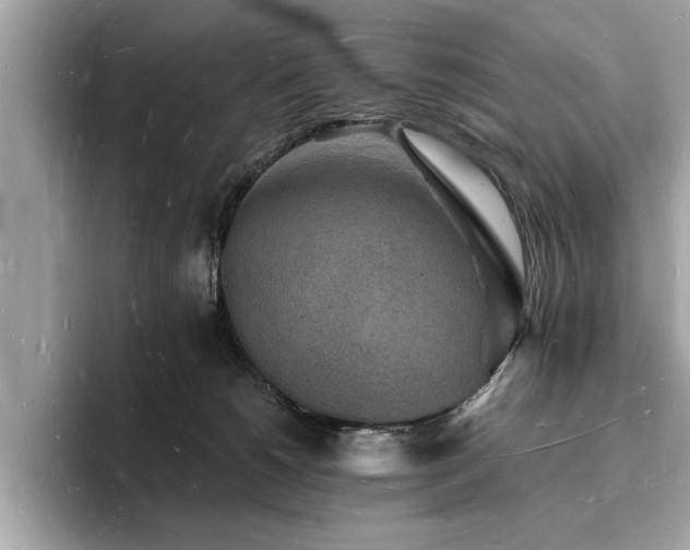 X0000093720180200710161105