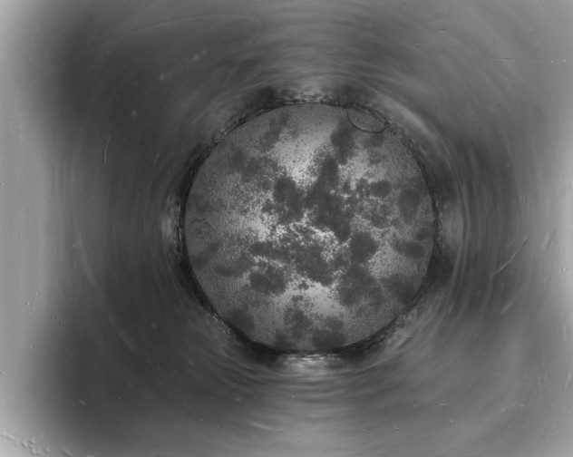 X0000093720181200710161105
