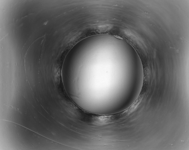 X0000093720184200710161105