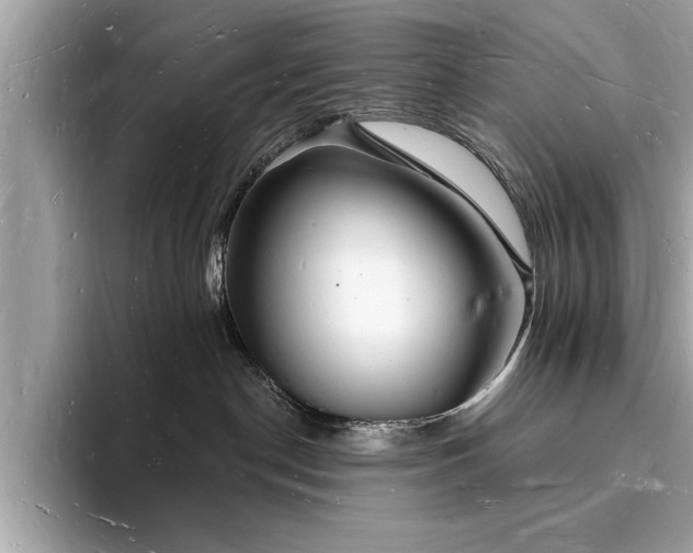 X0000093720190200710161105
