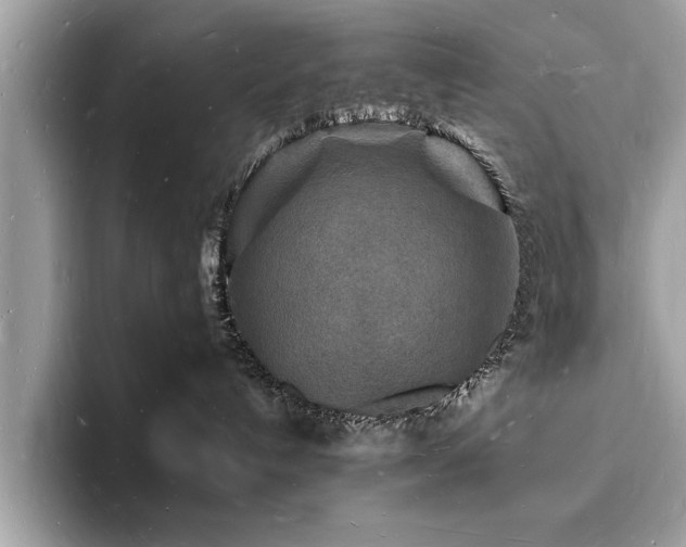 X0000093720192200710161105