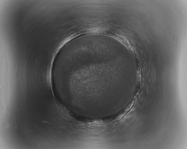 X0000093720196200710161104
